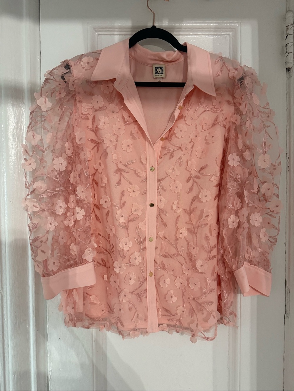 Anne Klein Blush Pink Floral Appliqué Sheer Button Blouse